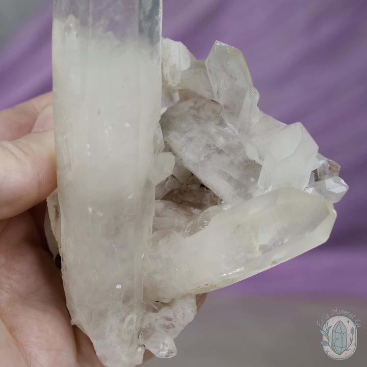 Large Clear Quartz Crystal Cluster Cutie