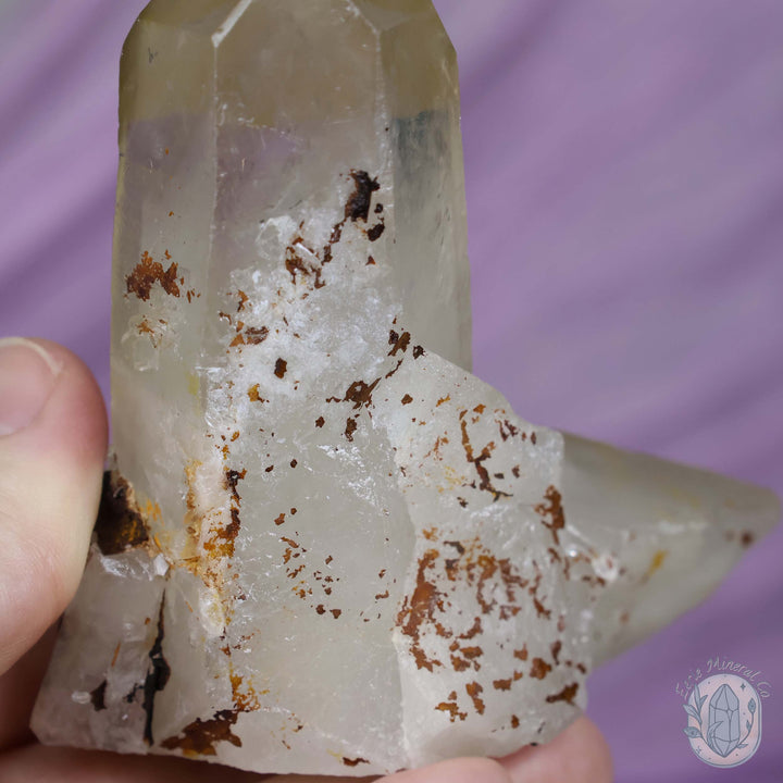 Large Clear Quartz Crystal Cluster Cutie