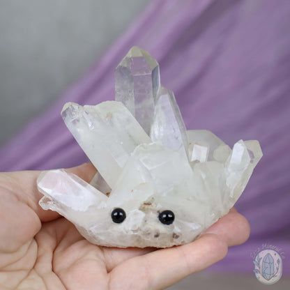 Quartz Cluster Crystal Cutie