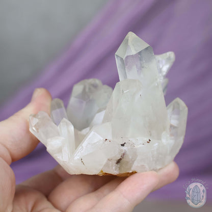 Quartz Cluster Crystal Cutie