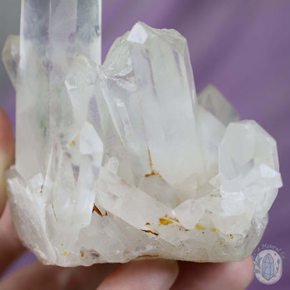 Quartz Cluster Crystal Cutie