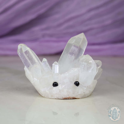 Clear Quartz Crystal Cluster "Crystal Cutie"