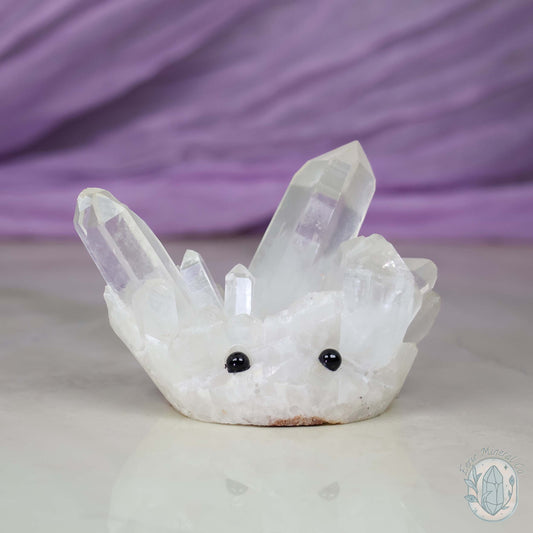 Clear Quartz Crystal Cluster "Crystal Cutie"