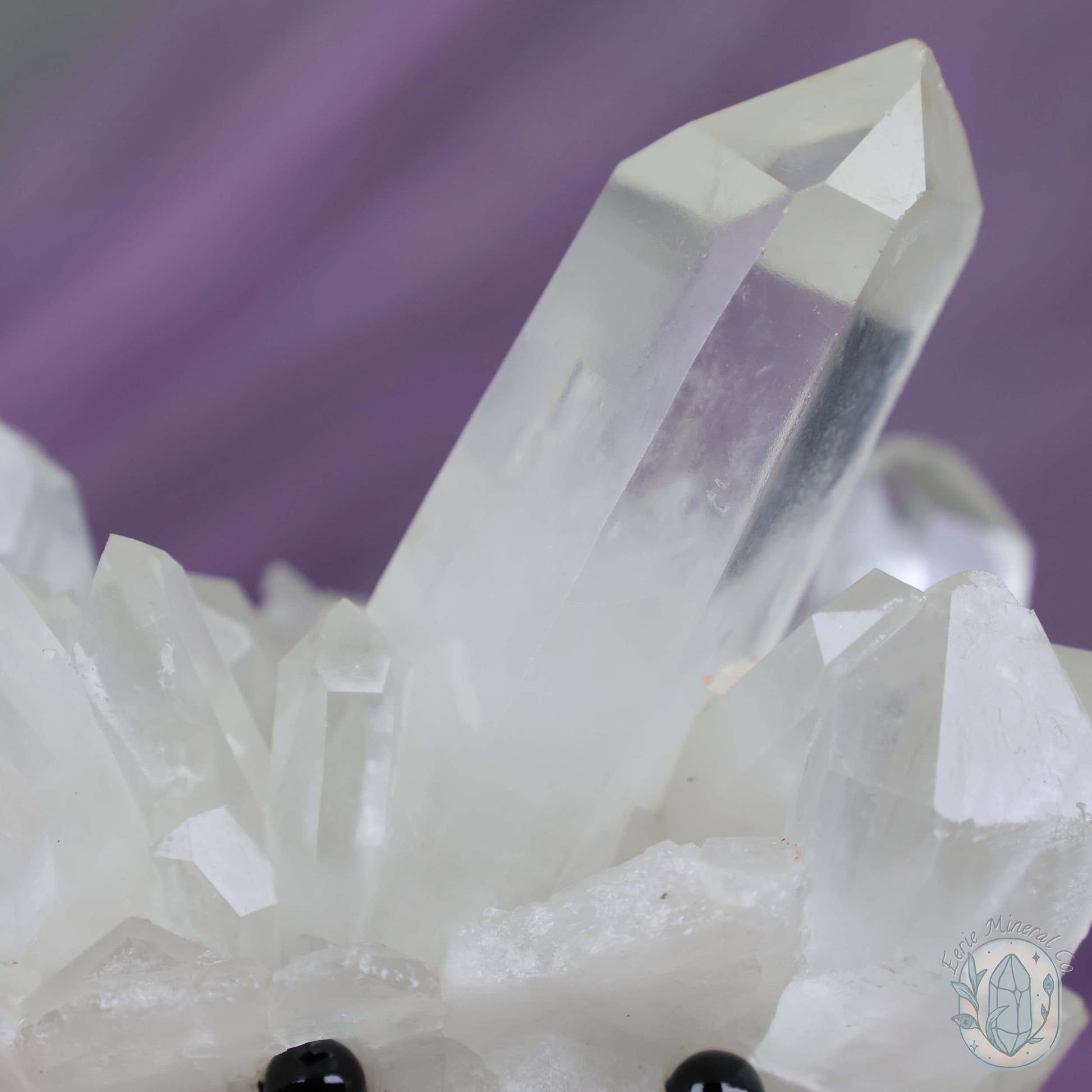 Clear Quartz Crystal Cluster "Crystal Cutie"