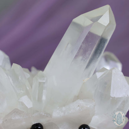 Clear Quartz Crystal Cluster "Crystal Cutie"