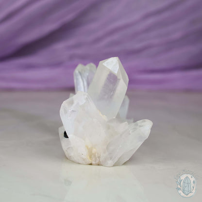 Clear Quartz Crystal Cluster "Crystal Cutie"