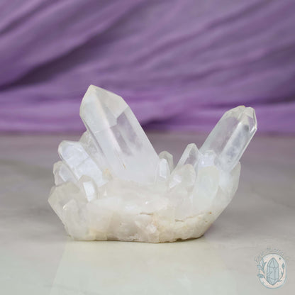 Clear Quartz Crystal Cluster "Crystal Cutie"