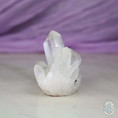 Clear Quartz Crystal Cluster "Crystal Cutie"