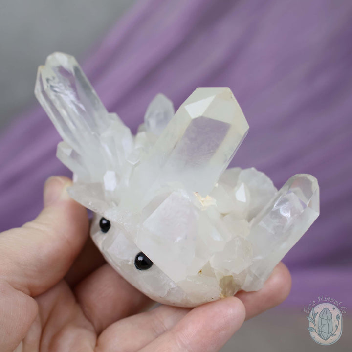 Clear Quartz Crystal Cluster "Crystal Cutie"