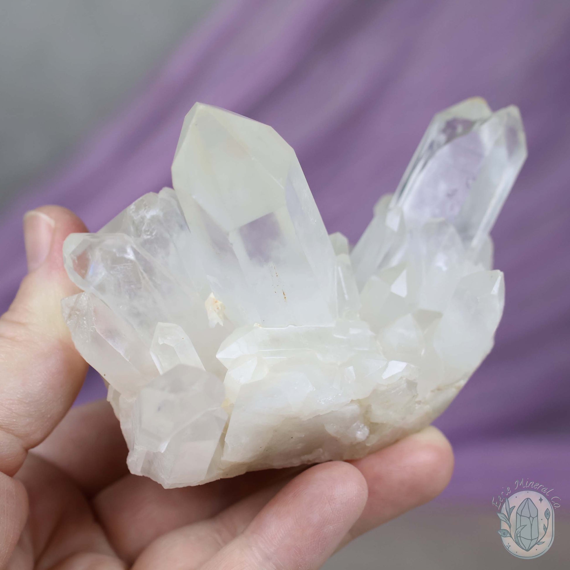 Clear Quartz Crystal Cluster "Crystal Cutie"