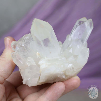 Clear Quartz Crystal Cluster "Crystal Cutie"