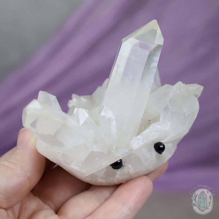 Clear Quartz Crystal Cluster "Crystal Cutie"