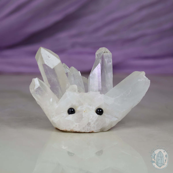 Clear Quartz Crystal Cluster "Crystal Cutie"