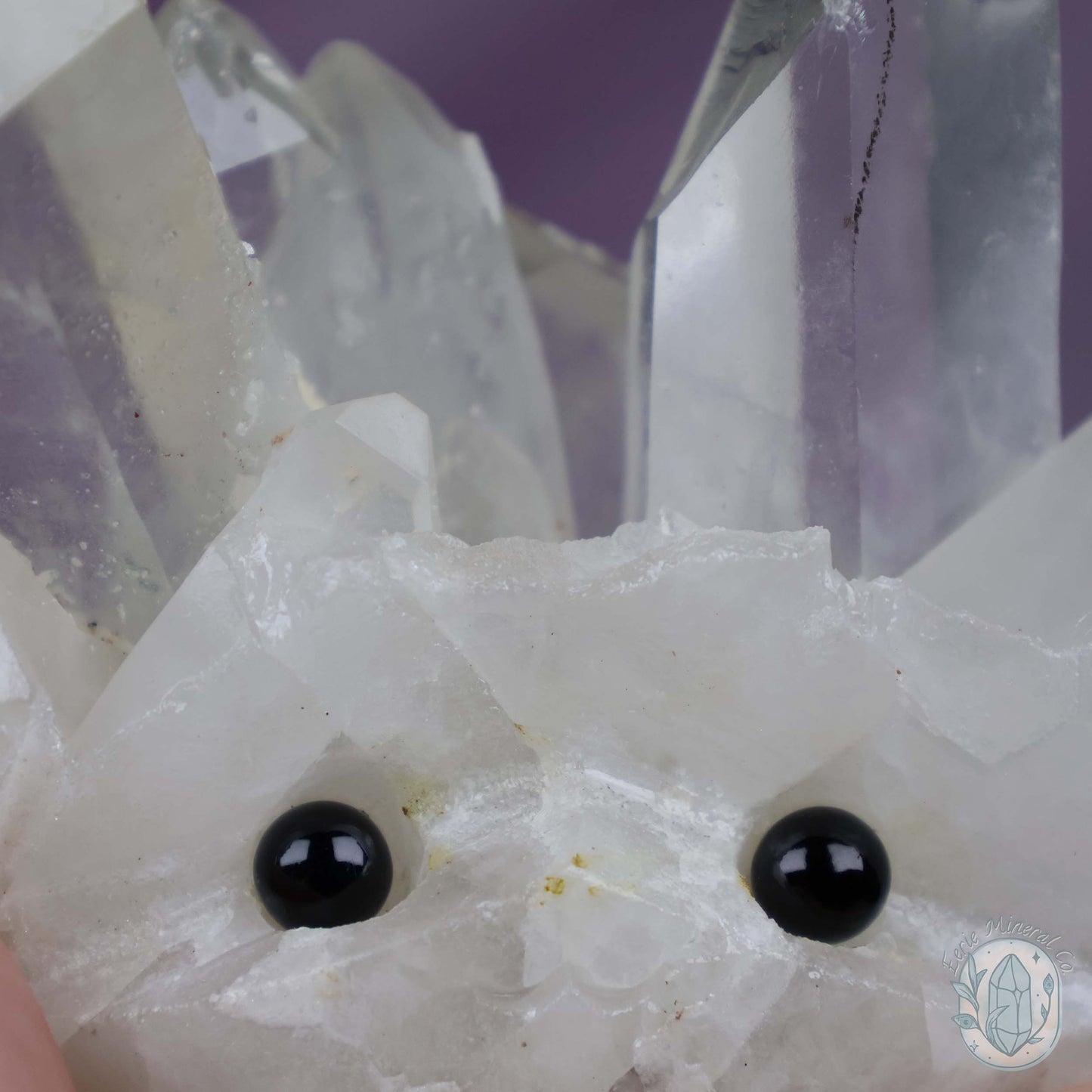 Clear Quartz Crystal Cluster "Crystal Cutie"