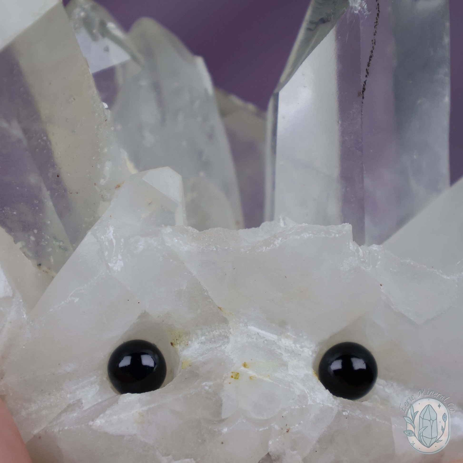 Clear Quartz Crystal Cluster "Crystal Cutie"