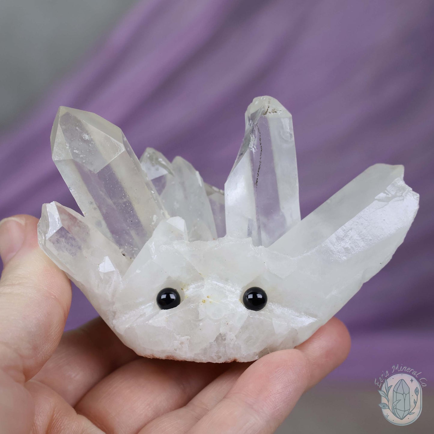 Clear Quartz Crystal Cluster "Crystal Cutie"