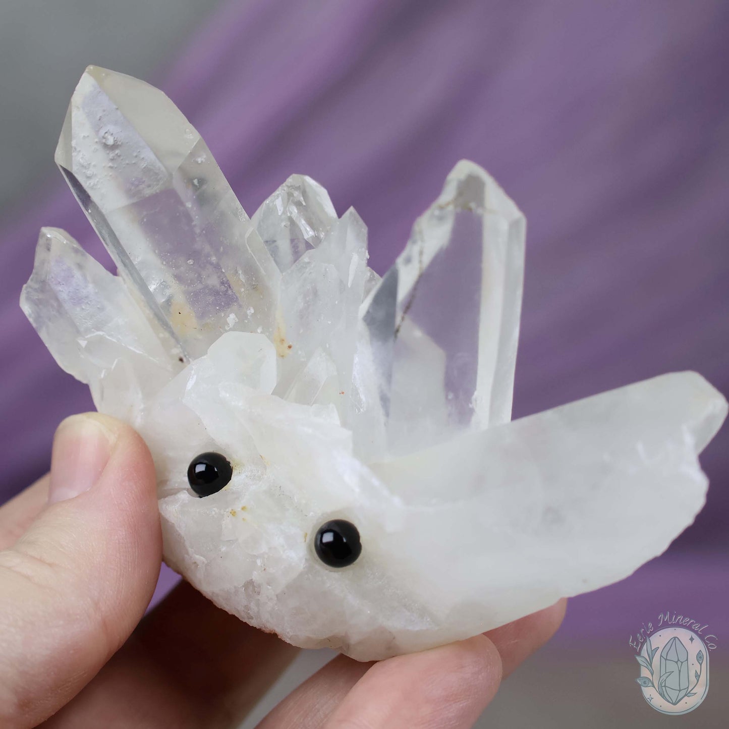 Clear Quartz Crystal Cluster "Crystal Cutie"