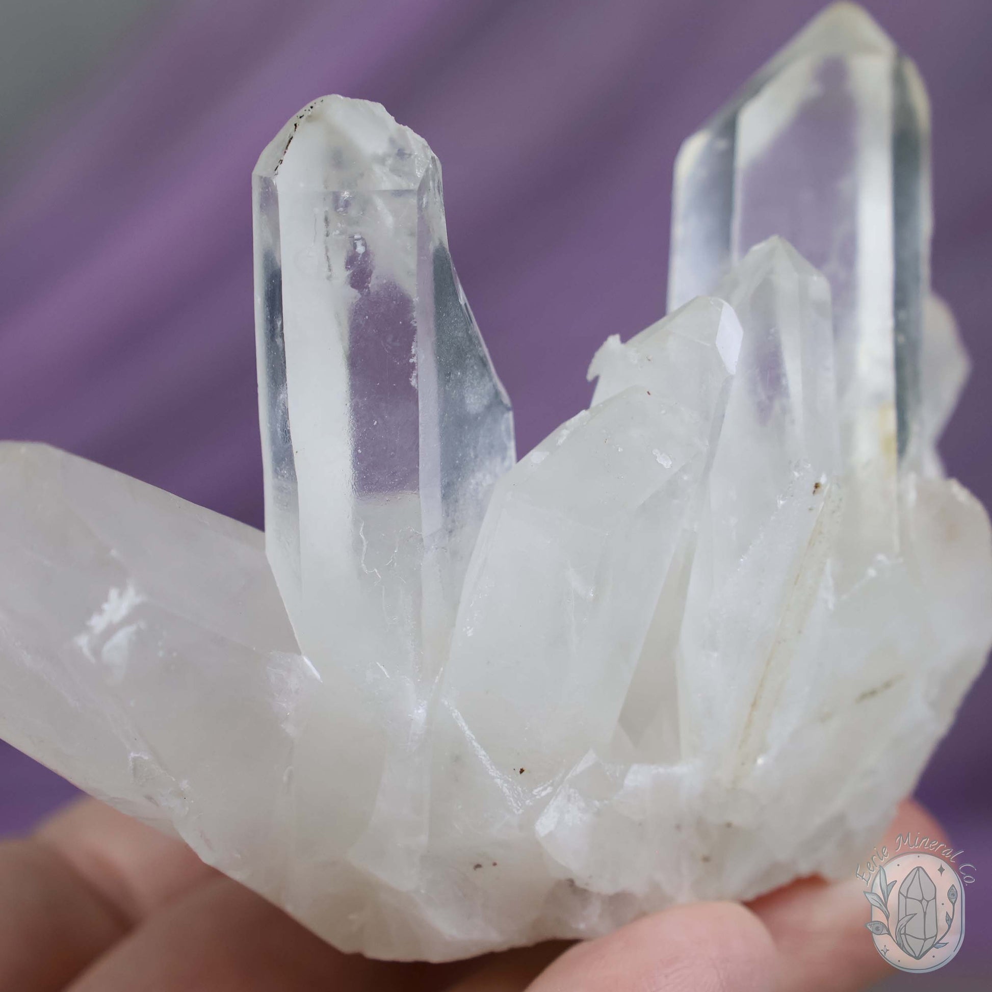 Clear Quartz Crystal Cluster "Crystal Cutie"