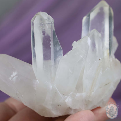 Clear Quartz Crystal Cluster "Crystal Cutie"