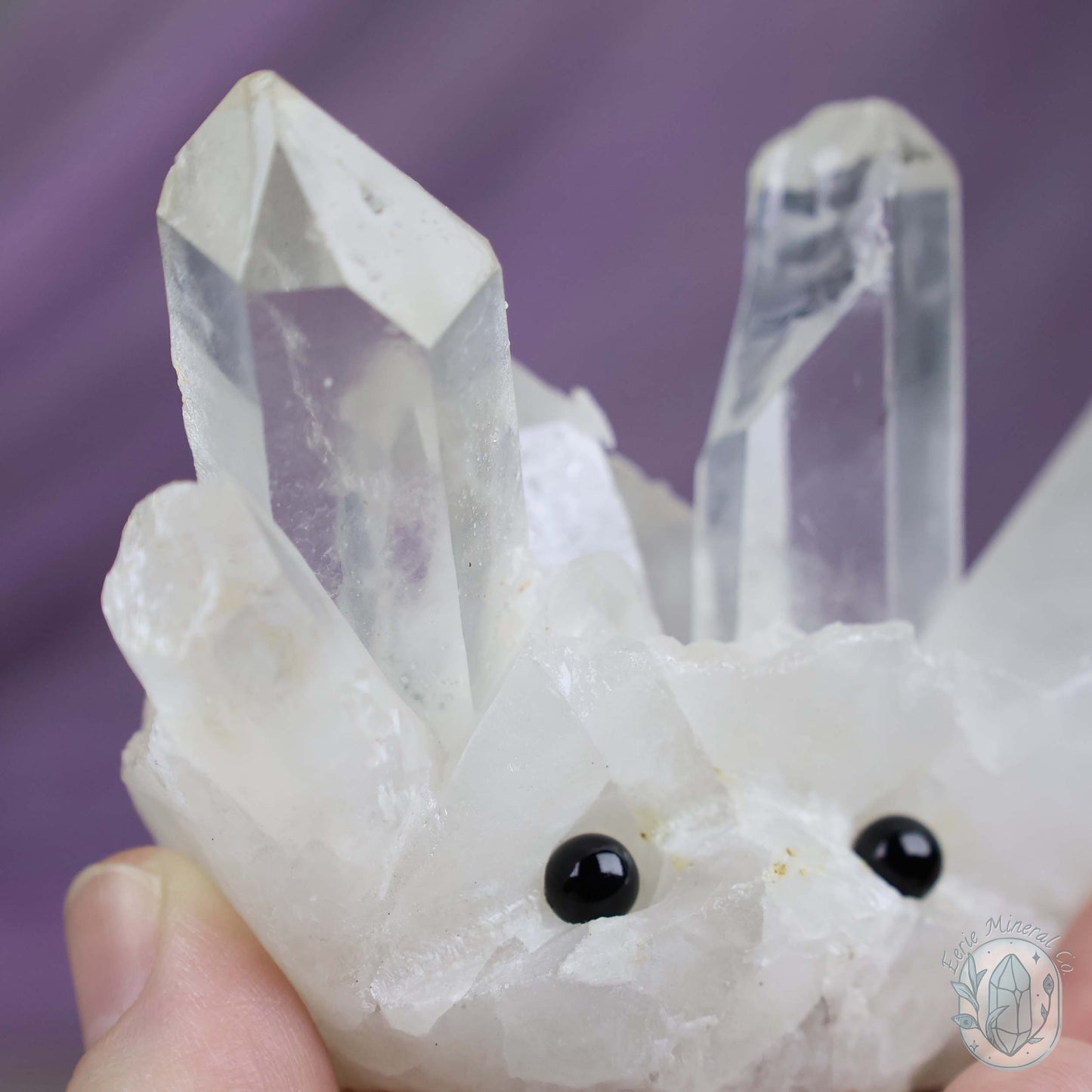 Clear Quartz Crystal Cluster "Crystal Cutie"