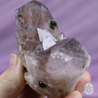 Amethyst With Epidote Crystal Cluster "Crystal Cutie"