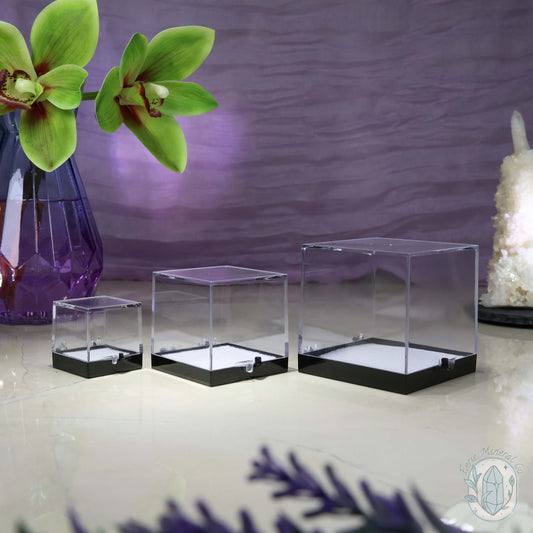 Perky Box, Crystal Specimen Boxes, Display Case with Free Mounting Putty