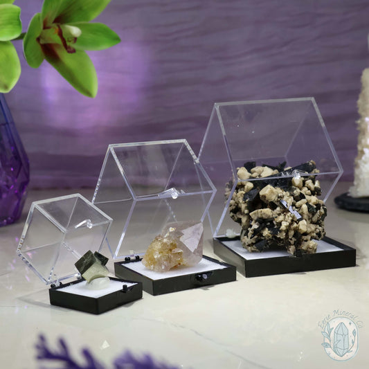 Perky Box, Crystal Specimen Boxes, Display Case with Free Mounting Putty