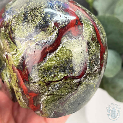 4.20" Polished Dragon Bloodstone Skull Carving