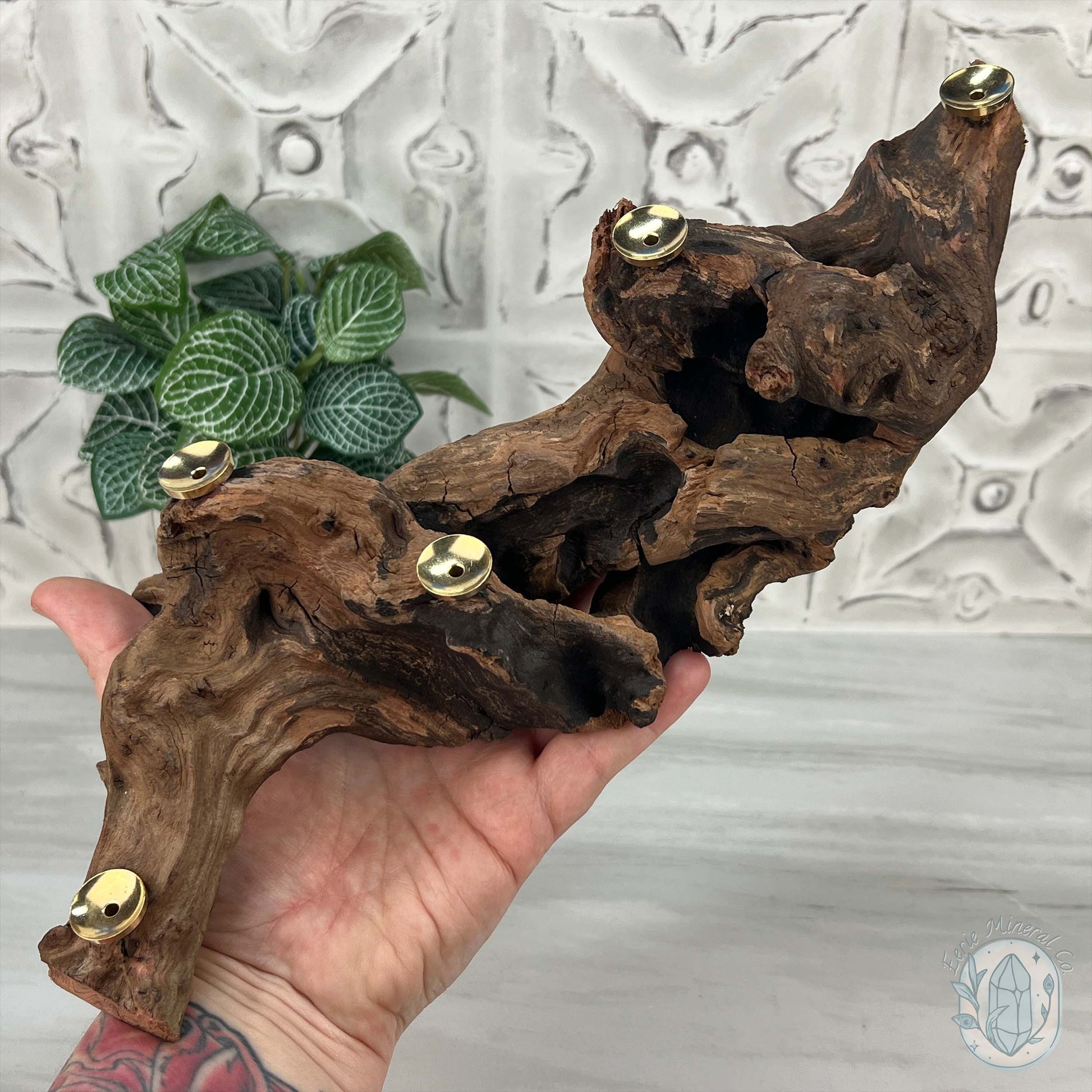 Natural Driftwood Sphere Holder Stand for 5 Spheres or Orbs