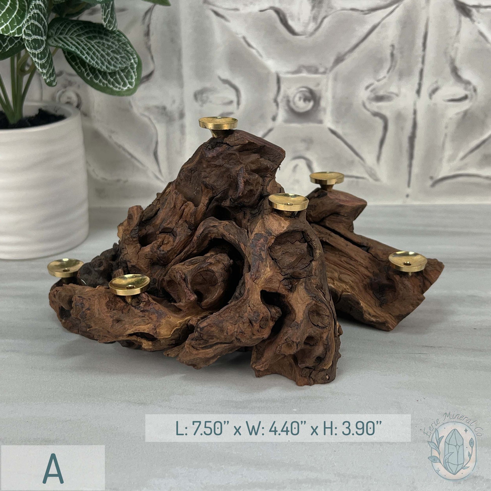 Natural Driftwood Sphere Holder Stand for 6 Spheres or Orbs