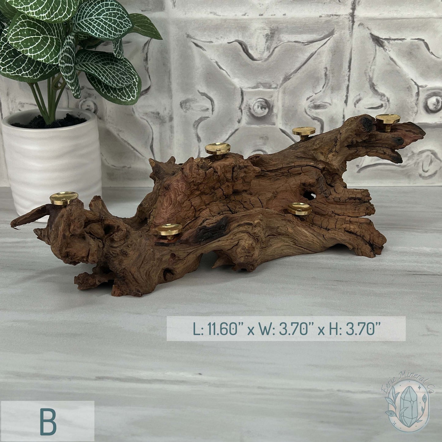 Natural Driftwood Sphere Holder Stand for 6 Spheres or Orbs