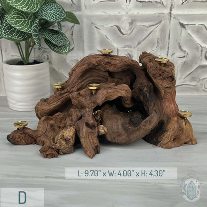 Natural Driftwood Sphere Holder Stand for 6 Spheres or Orbs