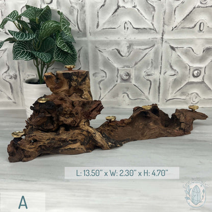 Natural Driftwood Sphere Holder Stand for 6 Spheres or Orbs