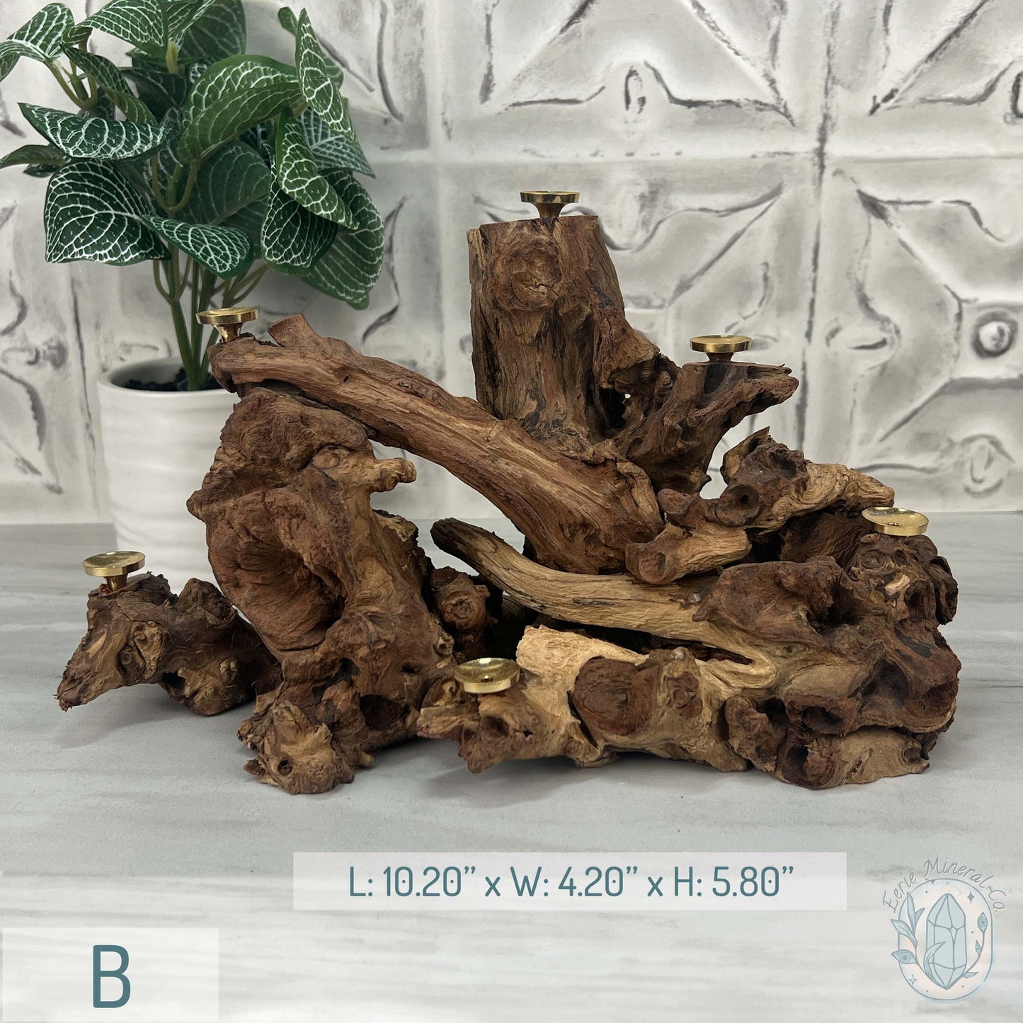 Natural Driftwood Sphere Holder Stand for 6 Spheres or Orbs
