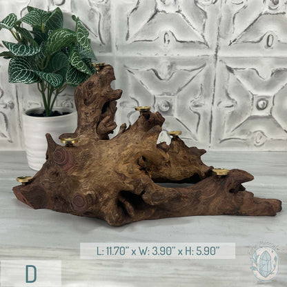 Natural Driftwood Sphere Holder Stand for 6 Spheres or Orbs