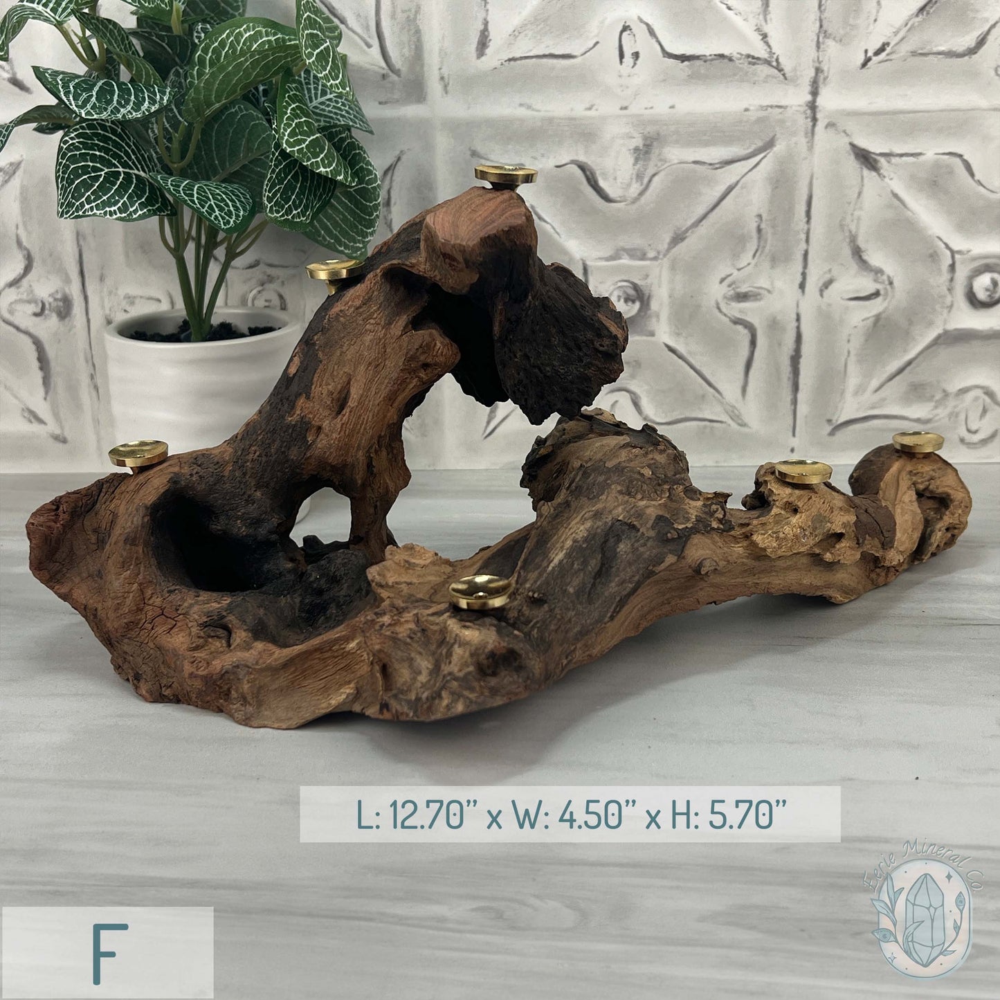 Natural Driftwood Sphere Holder Stand for 6 Spheres or Orbs