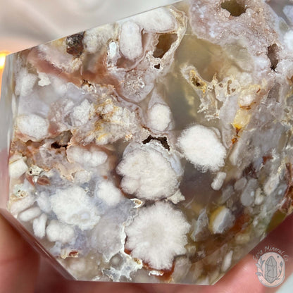 Polished Druzy Flower Agate Freeform