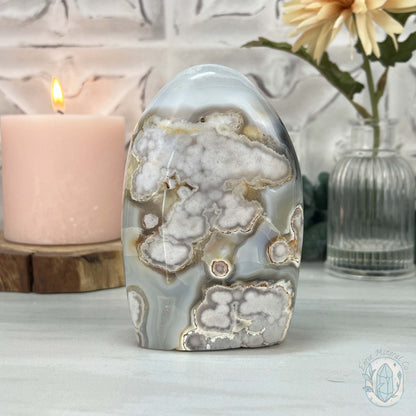 Flower Agate From Madagascar Polished Freeform