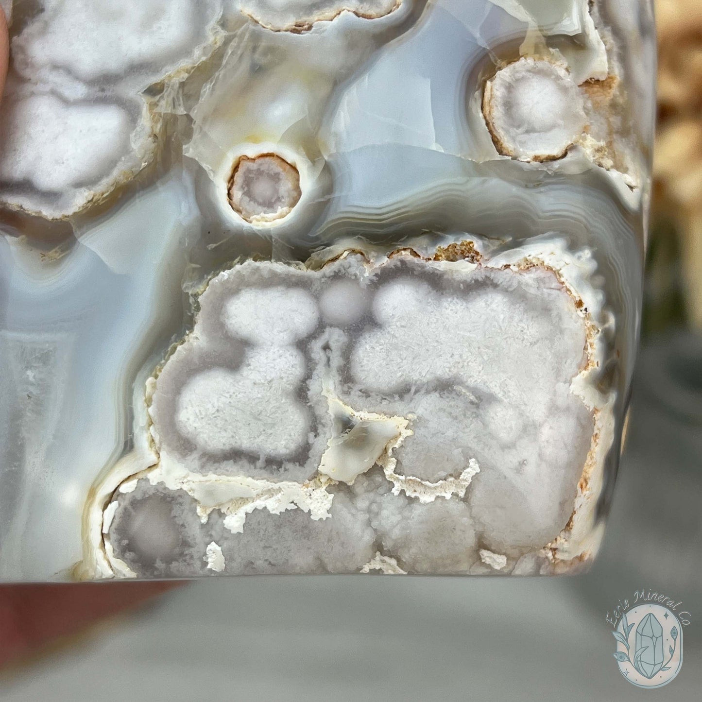 Flower Agate From Madagascar Polished Freeform