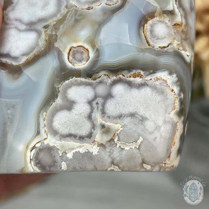 Flower Agate From Madagascar Polished Freeform