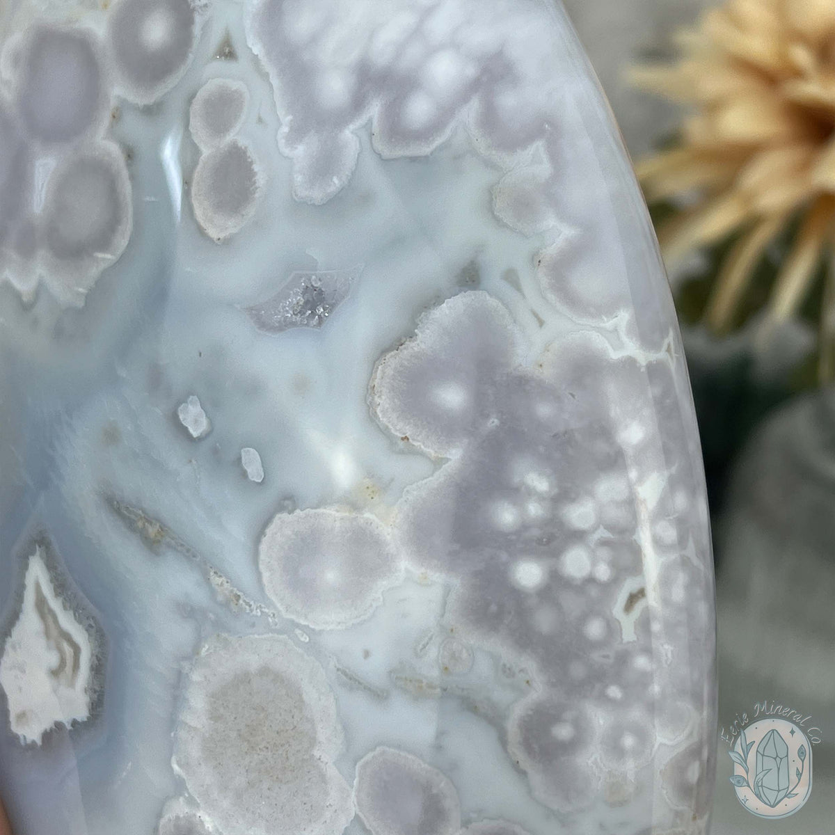 Flower Agate From Madagascar Polished Freeform