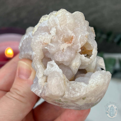 Flower Agate Hedgehog Pet Rock Specimen