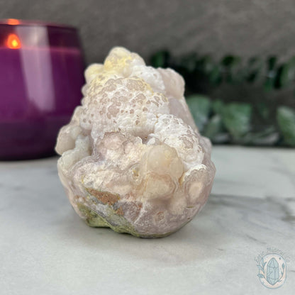 Flower Agate Hedgehog Pet Rock Specimen