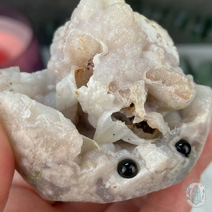 Flower Agate Hedgehog Pet Rock Specimen