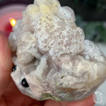 Flower Agate Hedgehog Pet Rock Specimen