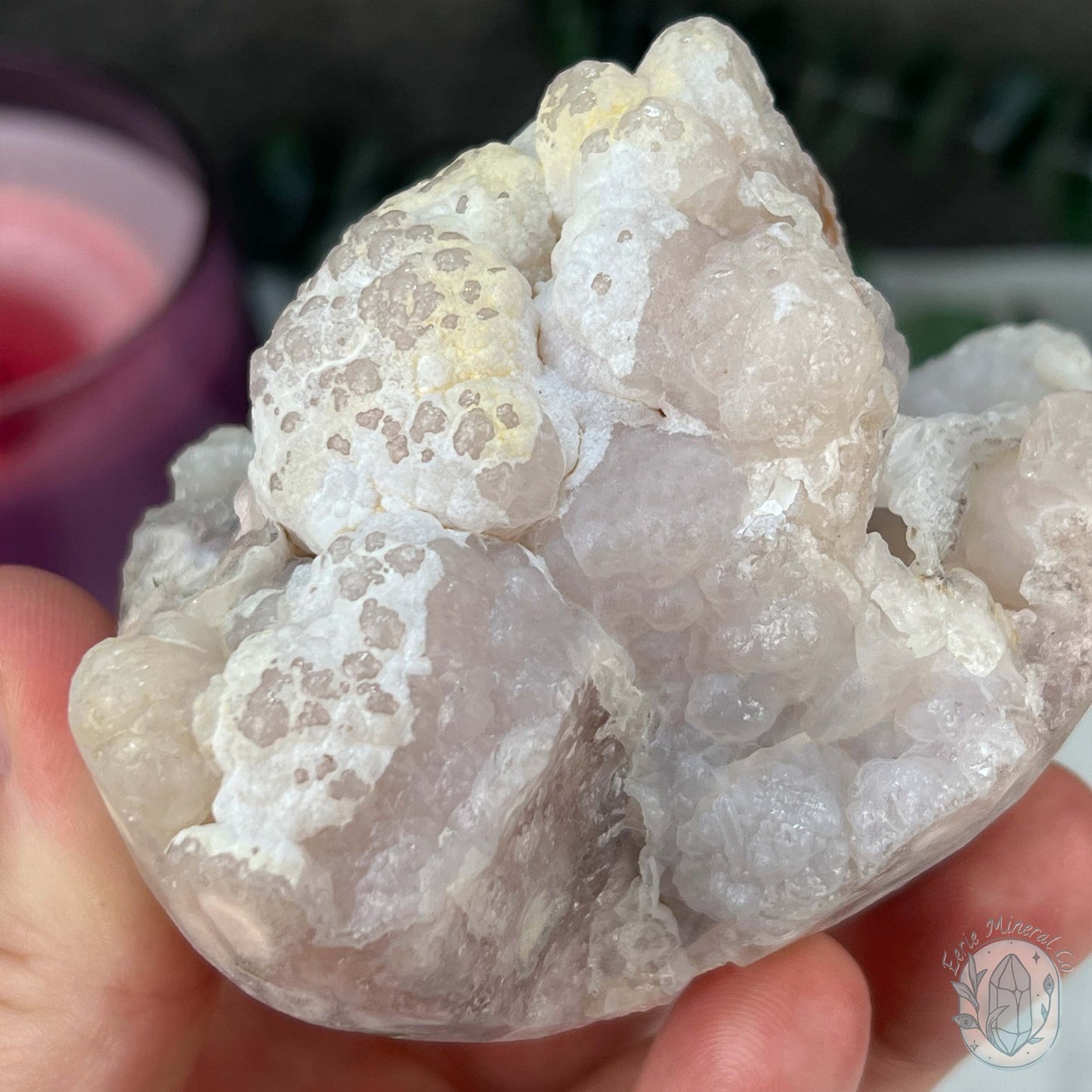 Flower Agate Hedgehog Pet Rock Specimen