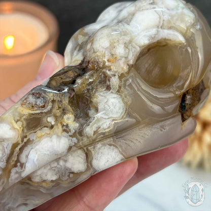 Polished Flower Agate Raven Skull Carving