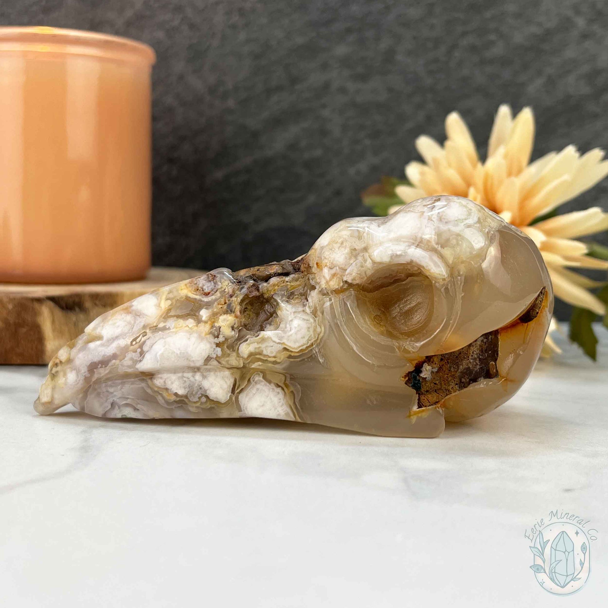 Polished Flower Agate Raven Skull Carving