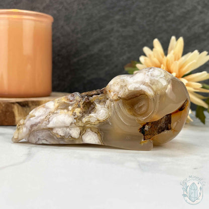 Polished Flower Agate Raven Skull Carving