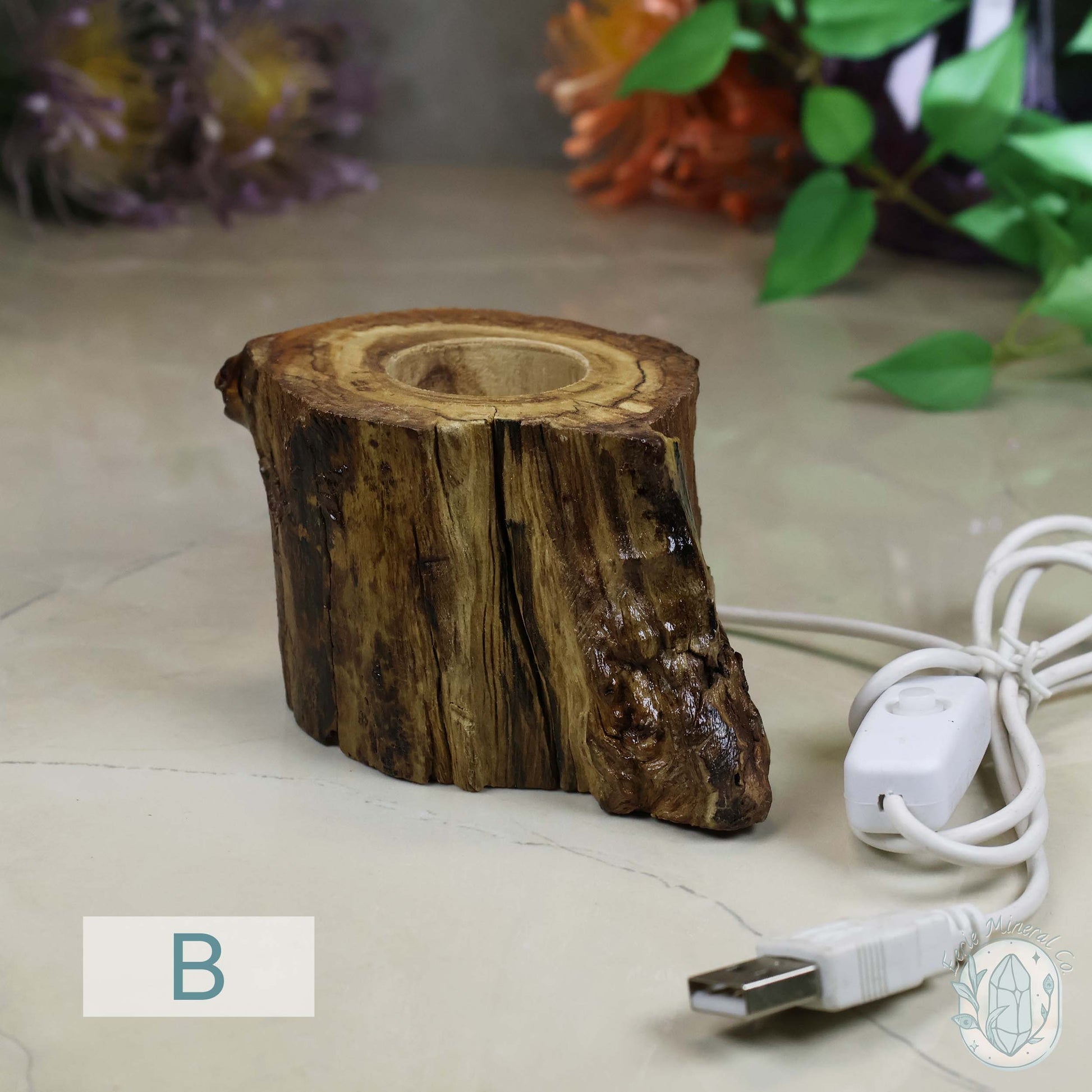 USB Powered Wood Stump LED Cool White Light Sphere Stand